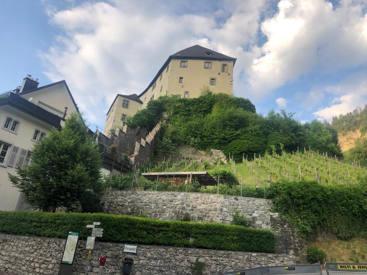 Apartments "Am Ardetzenberg" Feldkirch Eksteriør billede