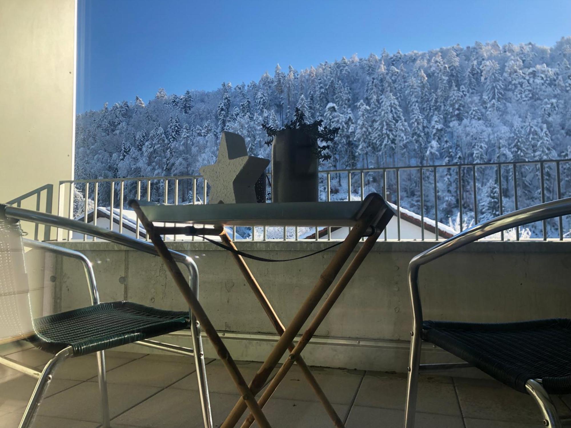 Apartments "Am Ardetzenberg" Feldkirch Eksteriør billede